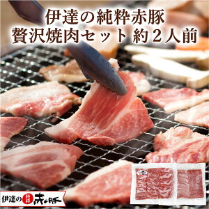 ɒB̏ԓ ґēZbg 2lO 500g([X250g 250g)yMtgzy^EⓀz(Ε NX}X  BBQ _炩  ӂ背bh fbN  