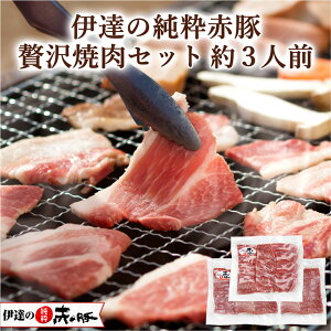 ɒB̏ԓ ґēZbg 3lO 750g([X250g 250g×2)y^EⓀz(Ε NX}X   BBQ _炩  ӂ背bh fbN Mtg  j