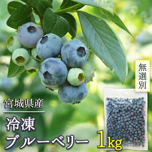 󂠂 {錧Y Ⓚu[x[ I 1kg( Y {錧oĎsY _ƒ  ٍޗ َq Â  W fU[g t[c ʕ 1L ǂ p 