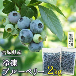 󂠂 Ⓚu[x[ I 2kg (1kg×2p)( Y {錧oĎsY _ƒ  ٍޗ َq Â  W fU[g t[c ʕ 2L ǂ p e