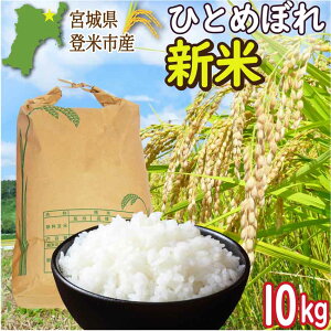 yVė\ 9{`10{zߘa7NY ЂƂ߂ڂ 10kg {錧oĎsY Vāy]̕FăT[rXLIzyE͕ʓrzyⓀsz(2025NxY  