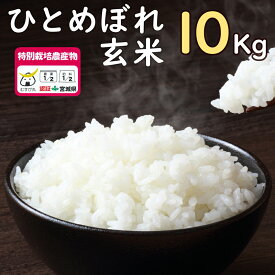 令和5年度産 農薬・化学肥料節減米(宮城県認証) 登米市産ひとめぼれ 玄米10kg【冷凍不可】【ご希望の方：無料精米サービス有！上白/白米/8分づき/5分づき】( 2023年 おいしい米 10kg 送料無料 常温 SDGs 環境保全 国産米 精米 宮城県産 登米市 東北)