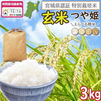 楽天市場】特別栽培米 山形県 つや姫 3kgの通販