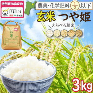 �ߘa7�N�x�Y �_��E���w�엿�ߌ���(�{�錧�F��) �o�Ďs�Y��P ���� 3kg �V�āy����]�̕��F�������ăT�[�r�X�L�I�z�y������E�����͕ʓr�����z�y�Ⓚ�s�z( �������� 2025�N �������� ��