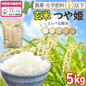 ߘa7NxY _Ew엿ߌ({錧F) oĎsYP  5kg Vāy]̕FăT[rXLIzyE͕ʓrzyⓀsz(  2025N  