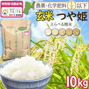 ߘa7NxY _Ew엿ߌ({錧F) oĎsYP  10kg Vāy]̕FăT[rXLIzyE͕ʓrzyⓀsz(  2025N  