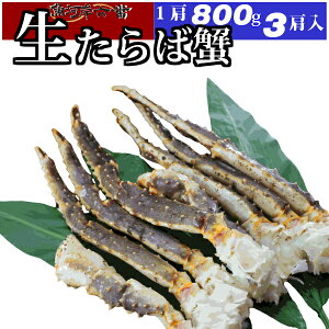 yz ΊI 800g VN 3(v2400g1) Ղ 6`8lO ^oI/^oKj/΂/Ε///Jj/I//p/o[xL[/j/p[eB[
