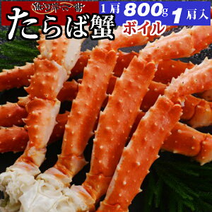 yz {CΊI 800g VN 1 Ղ 2`3lO ^oI/^oKj/΂/Ε///Jj/I//p/o[xL[/j/p[eB[/T_