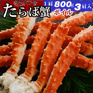 yz {CΊI 2400gi800g×3j VN 1 Ղ 6`9lO ^oI/^oKj/΂/Ε///Jj/I//p/o[xL[/j/p[eB