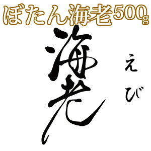 VRڂCV@500gGr//H/hg/CN/X`/Ɩp