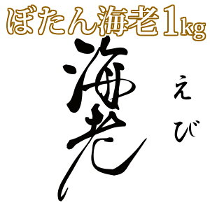 yzVRڂCV1kgGr//H/hg/CN/X`/Ɩp