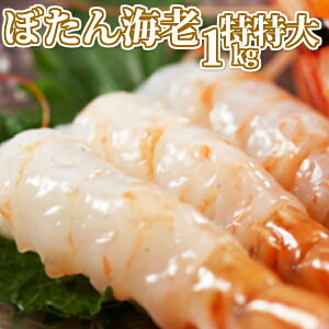 yzVRڂCV/1kgGr//H/hg/CN/b/ߕ/炵i/X`/Ɩp