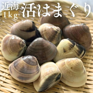 s꒼IߊC͂܂1kgyzY/L///ЂȍՂ/Ղ/ߋ/H/j/V/z/傫/Nx/vpB/Ɩp/