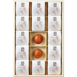 [~ѓ] IB~[~S] [BC50P]y11/16ȍ~oׁiꕔiL)z