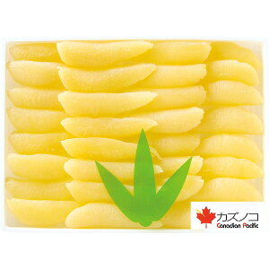 ̎q [SK100]y11/16ȍ~oׁiꕔiL)z