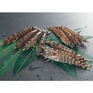 Y YⓀԂ [J10AK]y11/16ȍ~oׁiꕔiL)zylEsz