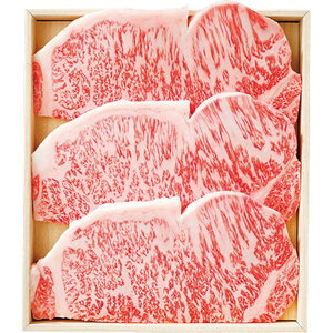 [`] ㋍T[CXe[L [MAST20G]y11/16ȍ~oׁiꕔiL)zylEsz