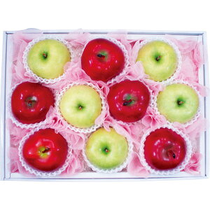 TӂEыl [TNN-45]y11/16ȍ~oׁiꕔiL)z