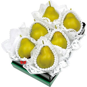 R`EXY EtX [TYR-32]y11/16ȍ~oׁiꕔiL)z