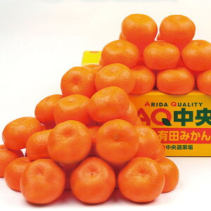 IBa̎R̗Lc݂ [TKA65]y11/16ȍ~oׁiꕔiL)z