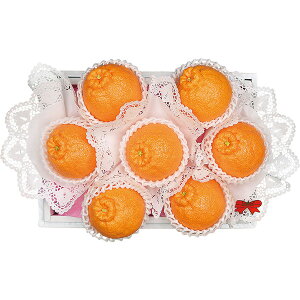 F{YfR| [TDP-55]y11/16ȍ~oׁiꕔiL)z