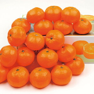 ̃|J [TOP45]y11/16ȍ~oׁiꕔiL)z