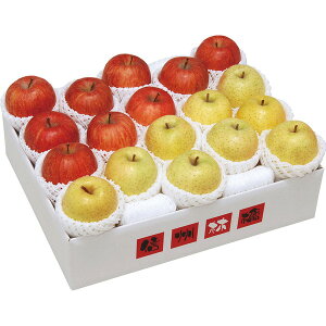 쌧EkMZ[TӂE] l [DFO-50W]y11/16ȍ~oׁiꕔiL)zylEsz