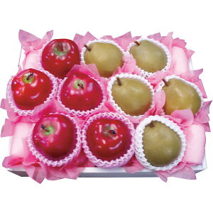 mE񂲃oGeB [JTRB-52]y11/16ȍ~oׁiꕔiL)zylEsz