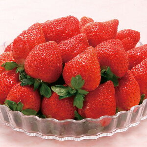 Y܂ [JTAI-90]y11/16ȍ~oׁiꕔiL)zylEsz