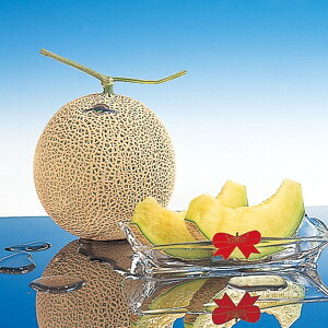 ÉY}XN [JTM-120]y11/16ȍ~oׁiꕔiL)zylEsz