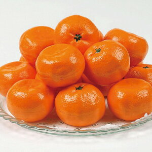 ߂iLݎY݂j [JTTM-50]y11/16ȍ~oׁiꕔiL)zylEsz