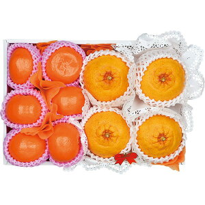 F{YfR||Jl [JTAO-58]y11/16ȍ~oׁiꕔiL)zylEsz