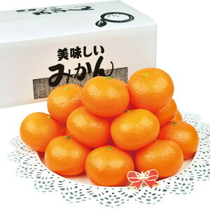 p B݂[TUM-65]y11/16ȍ~oׁiꕔiL)zylEsz