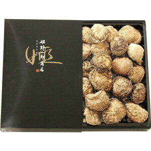 [啪Yő] 啪Yǂ񂱒ő[LC-20 ]蕨@v[g@j@Ԃ@oY@@Mtg@@A@yY@j