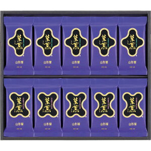 [�R�`���C�ۓX] �u���O�v�C�ۋl���� [GP-500]