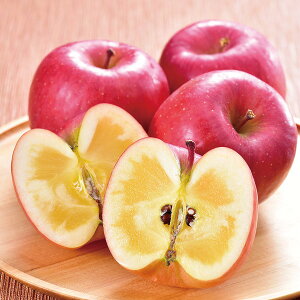 yYEz݉̎R`Y̏ʗьE񂲁yElEsz