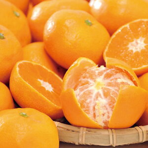 yYEzF{Y ݂yElEsz蕨@v[g@j@Ԃ@oY@@Mtg@@A@yY@j