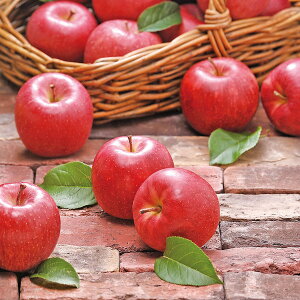 yYEz[X񂲃[N]XY Tӂ񂲁yElEsz蕨@v[g@j@Ԃ@oY@@Mtg@@A@yY@j