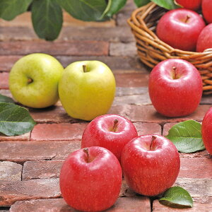 yYEz[X񂲃[N]XY 3lyElEsz蕨@v[g@j@Ԃ@oY@@Mtg@@A@yY@j