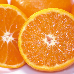 yYEzF{Y ݂yElEsz蕨@v[g@j@Ԃ@oY@@Mtg@@A@yY@j