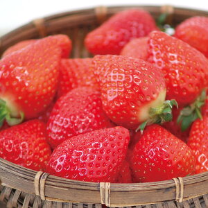 yYEz茧Y ߂̂yElEsz蕨@v[g@j@Ԃ@oY@@Mtg@@A@yY@j