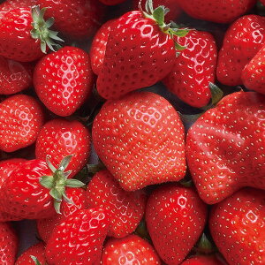 yYEz[q䕂₳]킪2iHה׃ZbgyElEsz蕨@v[g@j@Ԃ@oY@@Mtg@@A@yY@j