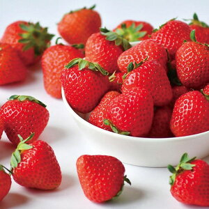 yYEz茧Y ݂̂yElEsz蕨@v[g@j@Ԃ@oY@@Mtg@@A@yY@j