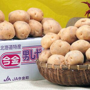 yYEzY j݂yElEsz蕨@v[g@j@Ԃ@oY@@Mtg@@A@yY@j