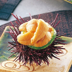 yYEzV ko2{gyElEsz蕨@v[g@j@Ԃ@oY@@Mtg@@A@yY@j