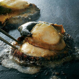 yYEz[MHi]VRуXe[LyElEsz蕨@v[g@j@Ԃ@oY@@Mtg@@A@yY@j