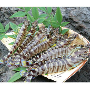 yYEzVY ԊCV[{B]i250gjyElEsz蕨@v[g@j@Ԃ@oY@@Mtg@@A@yY@j