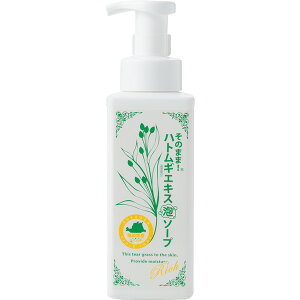 ̂܂! ngMGLXz A\[vb`