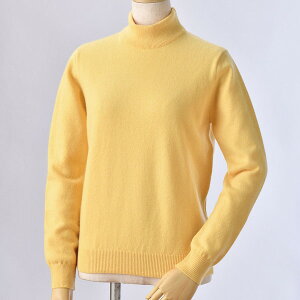 At@[ fB[X {JV~100nClbNZ[^[ CG[ L蕨@v[g@j@Ԃ@oY@@Mtg@@A@yY@j