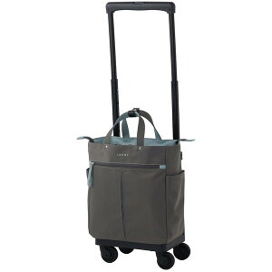 Xj[ D-685 OC L21 O[蕨@v[g@j@Ԃ@oY@@Mtg@@A@yY@j